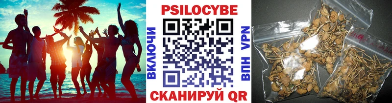 дарнет шоп  Кимовск  Псилоцибиновые грибы прущие грибы 