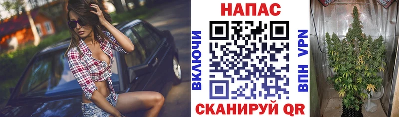 Бошки марихуана тримм  hydra ТОР  Кимовск 